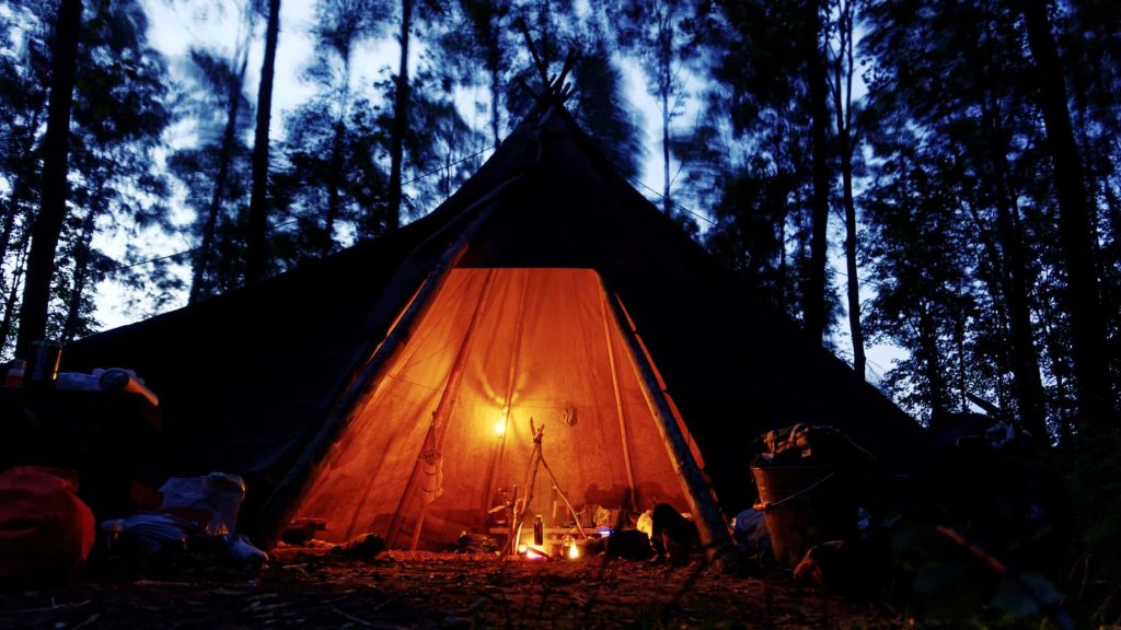 What Is Bushcraft and Why Is It Important?